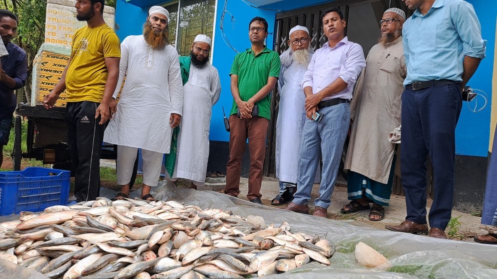 গোসাইরহাটে মা-ইলিশ জব্দ, এতিমখানায় বিতরণ